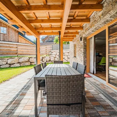 Apartament Dachstein West 1b Rußbach am Paß Gschütt